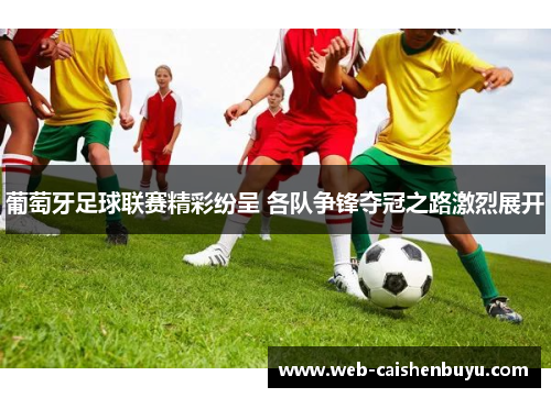 葡萄牙足球联赛精彩纷呈 各队争锋夺冠之路激烈展开